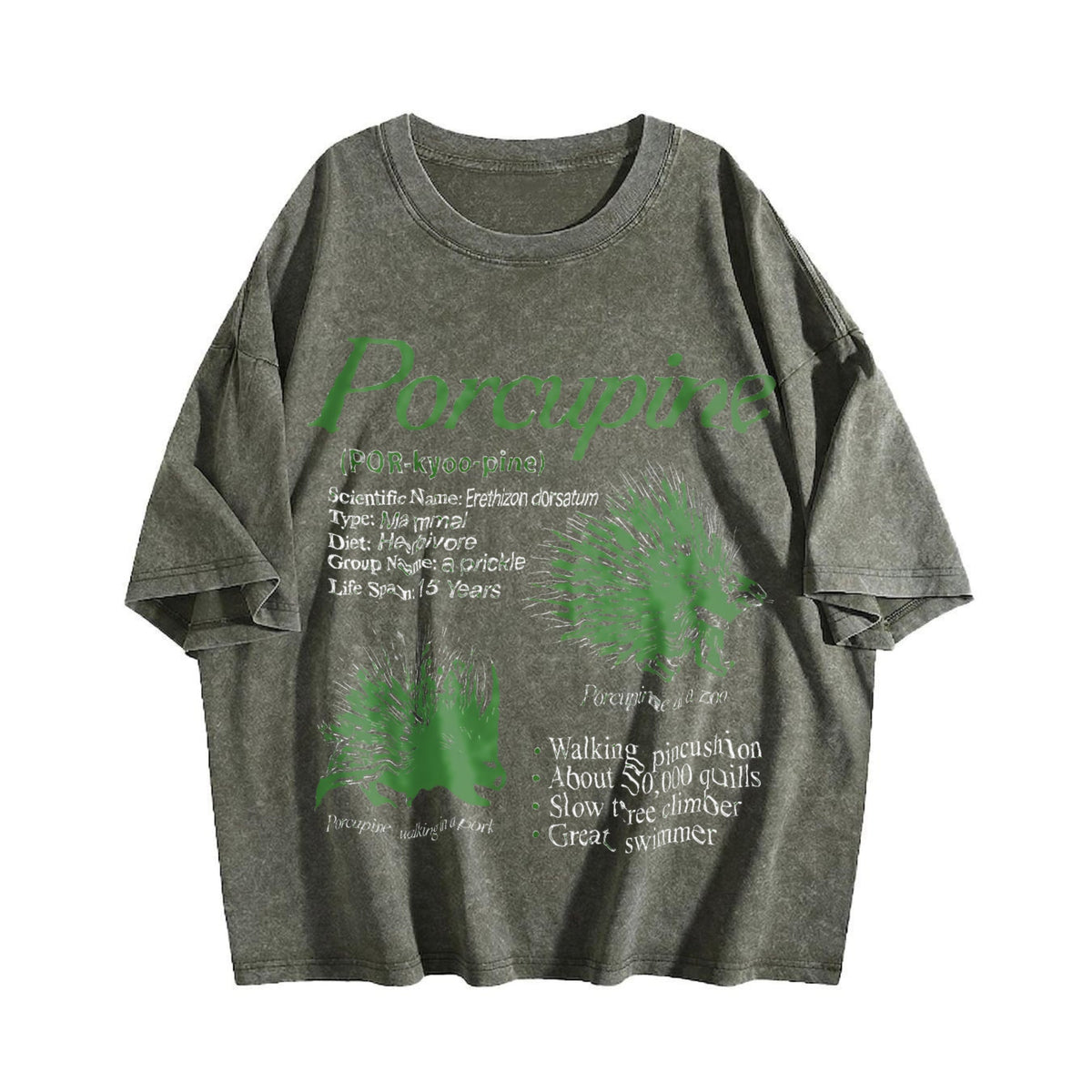 Porcupine 90s Vintage Washed T-Shirt product image 4