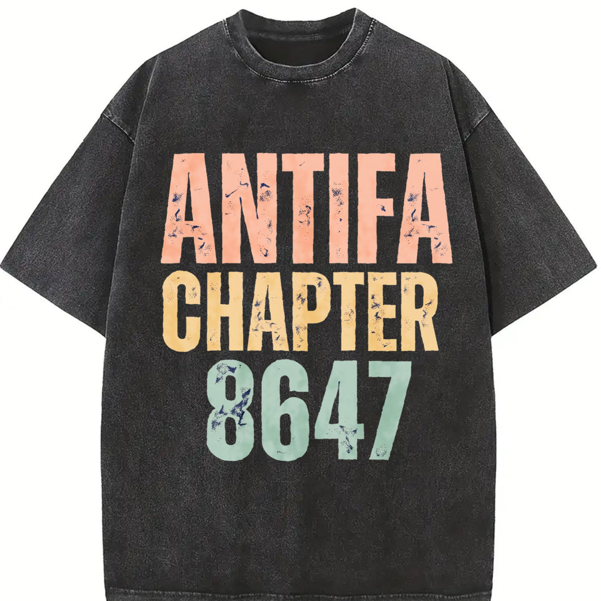 Antifa Chapter 8647 Bella Canvas Vintage Washed T-Shirt product image 2