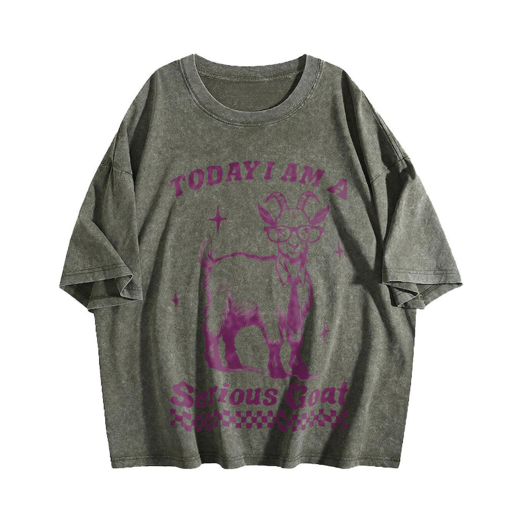 Funny Goat 90s Vintage Washed T-Shirt product image 4