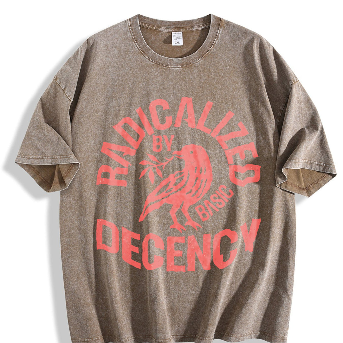 Radicalized By Basic Decency Vintage Washed T-Shirt product image 3