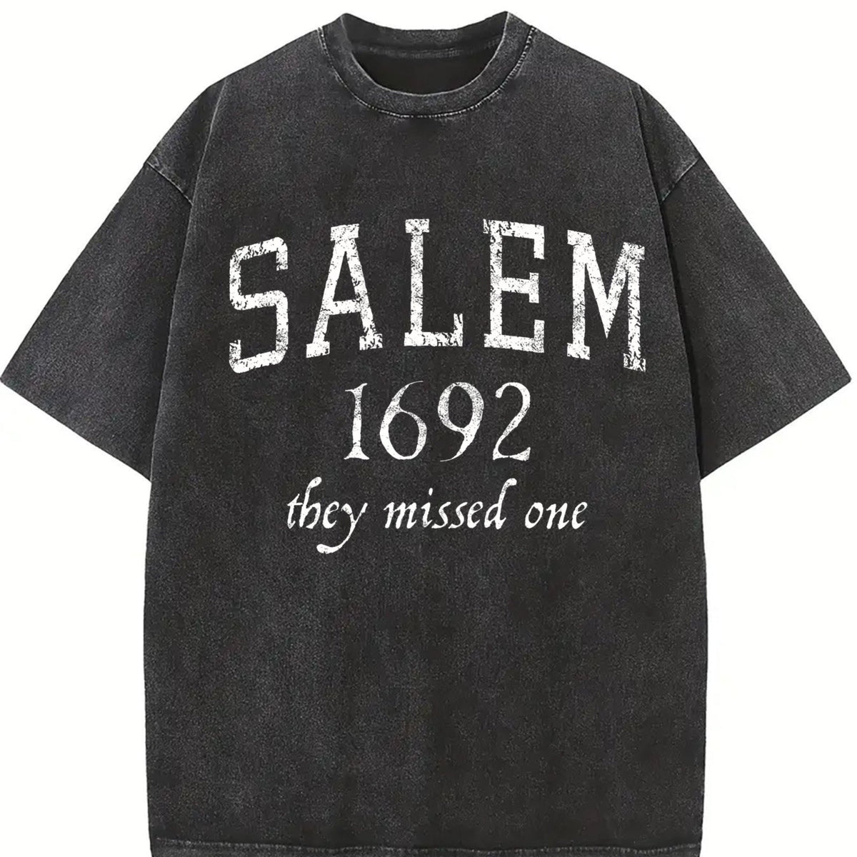 Salem Mass 1692 Funny Halloween Witch Broom Joke Vintage product image 2