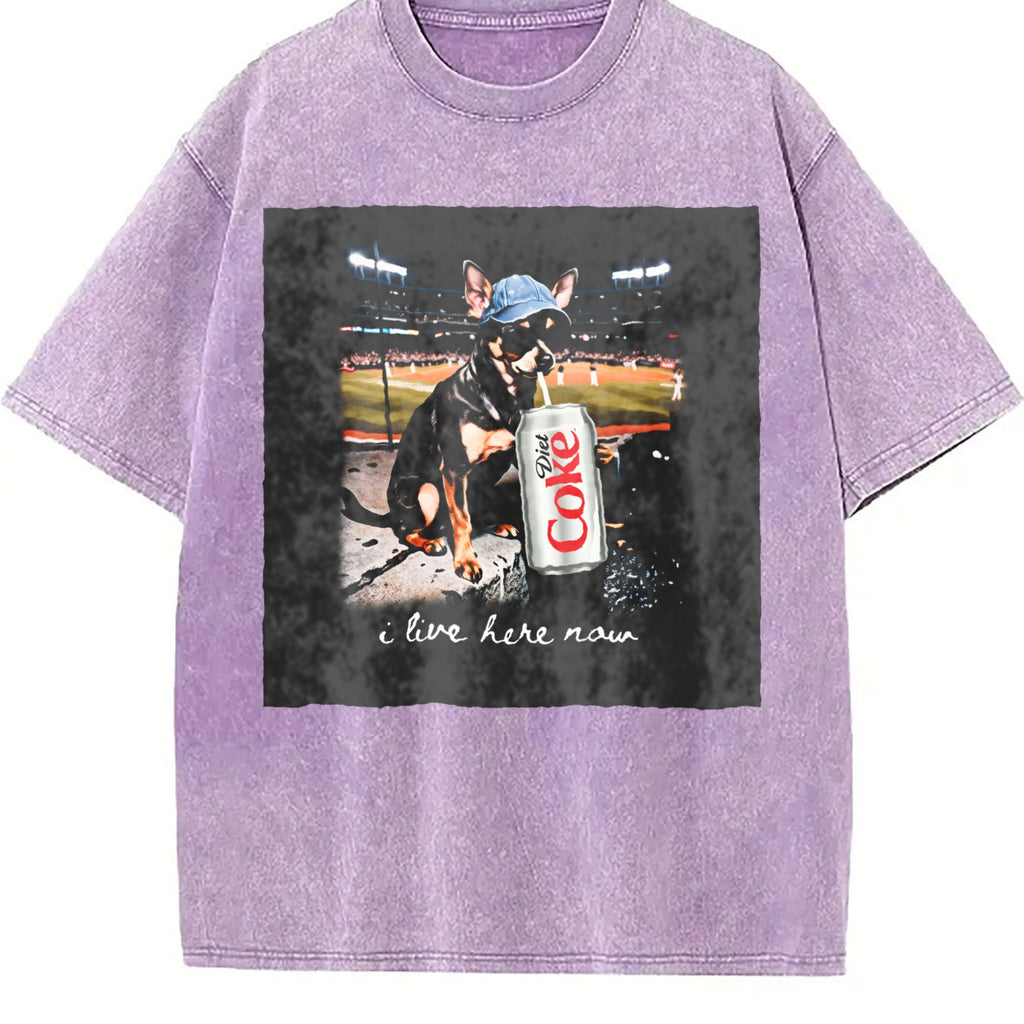 I Live Here Now Stadium Cat Vintage Washed T-Shirt product image 6
