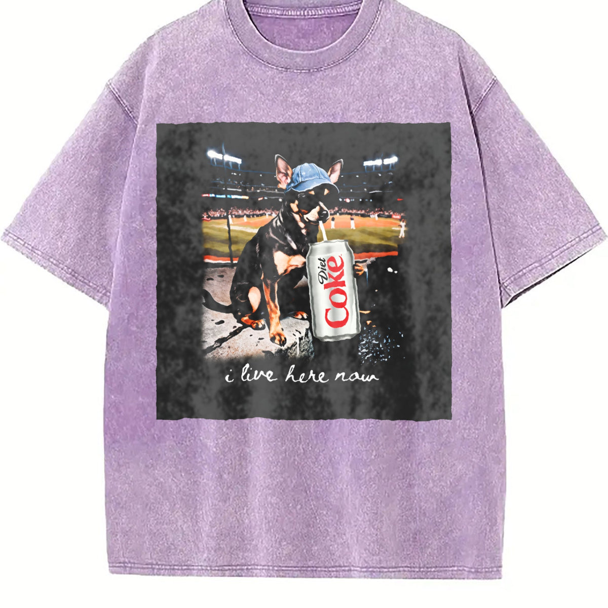 I Live Here Now Stadium Cat Vintage Washed T-Shirt product image 6