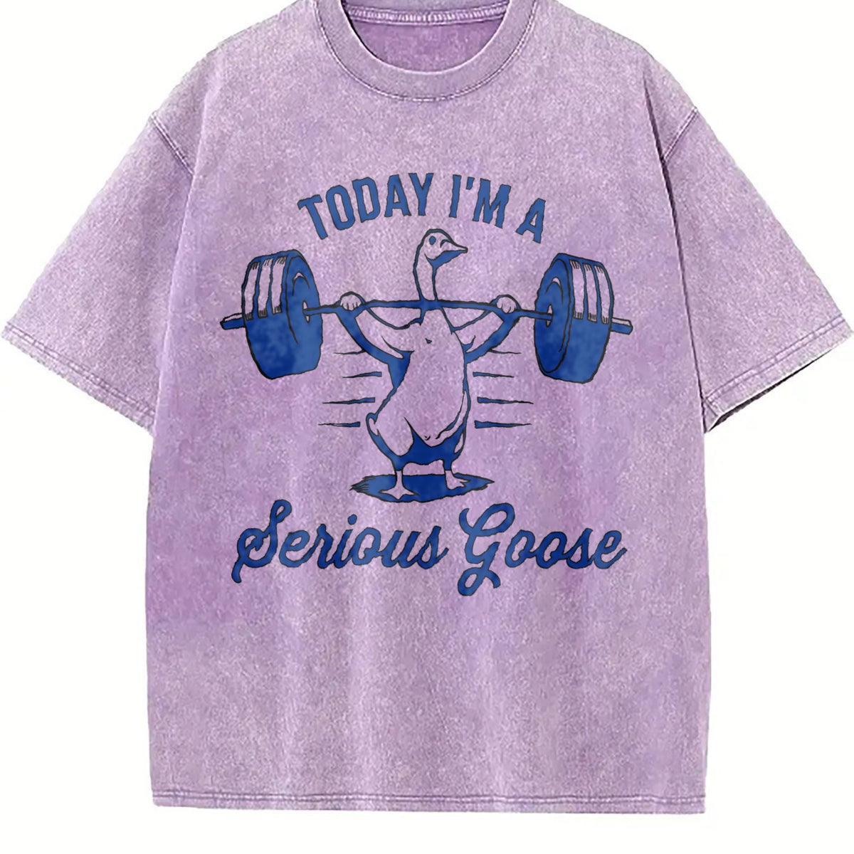 Serious Goose Lifting Weights Vintage Washed T-Shirt product image 6