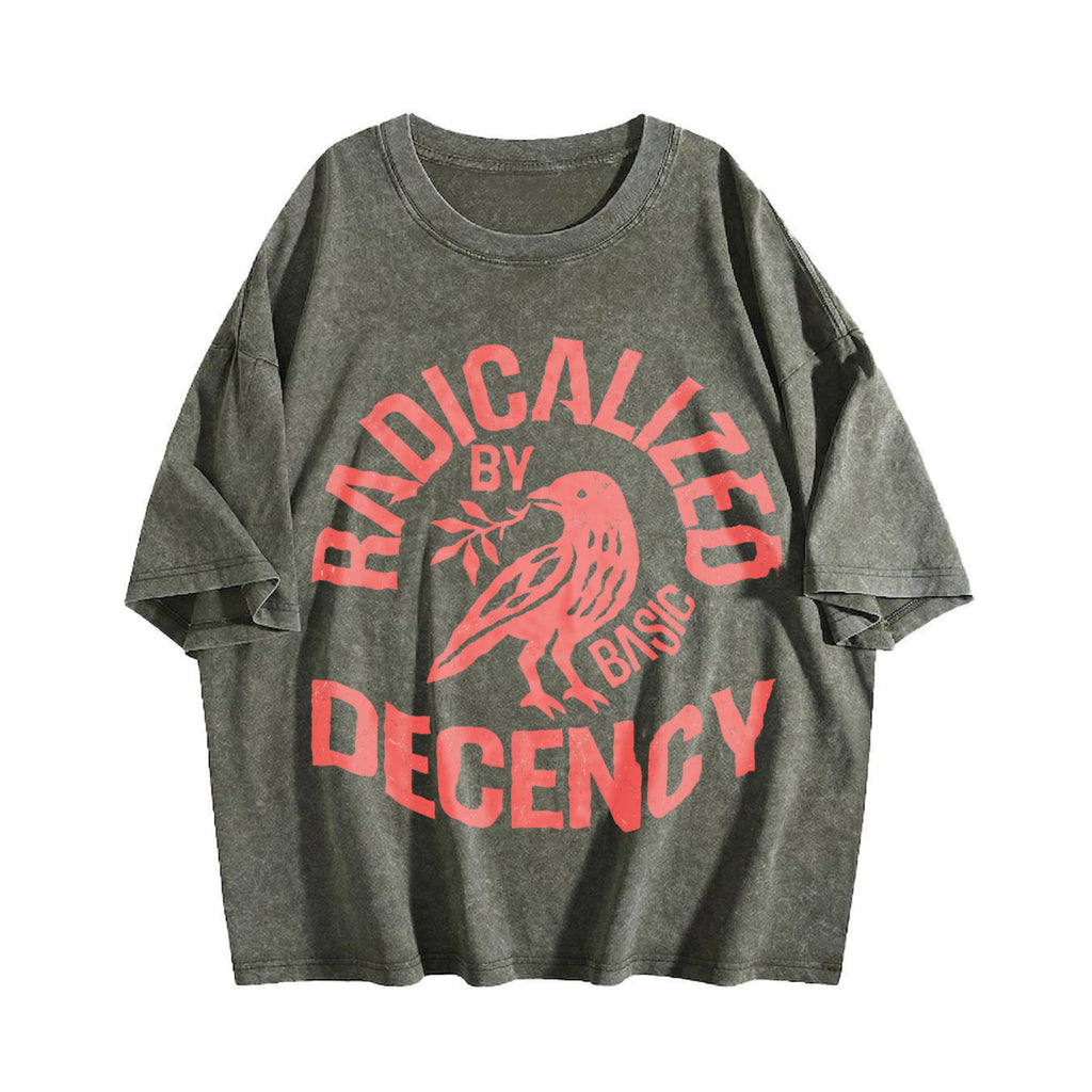 Radicalized By Basic Decency Vintage Washed T-Shirt product image 4