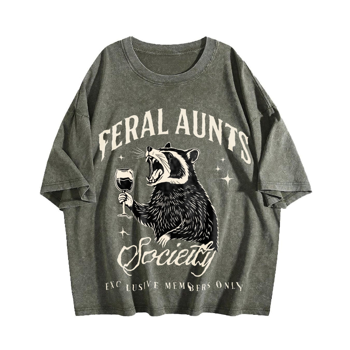Feral Aunts Society Vintage Washed T-Shirt product image 4