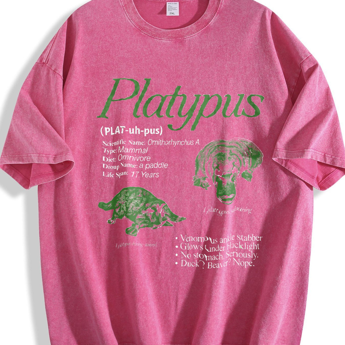 Platypus 90s Vintage Washed T-Shirt product image 7