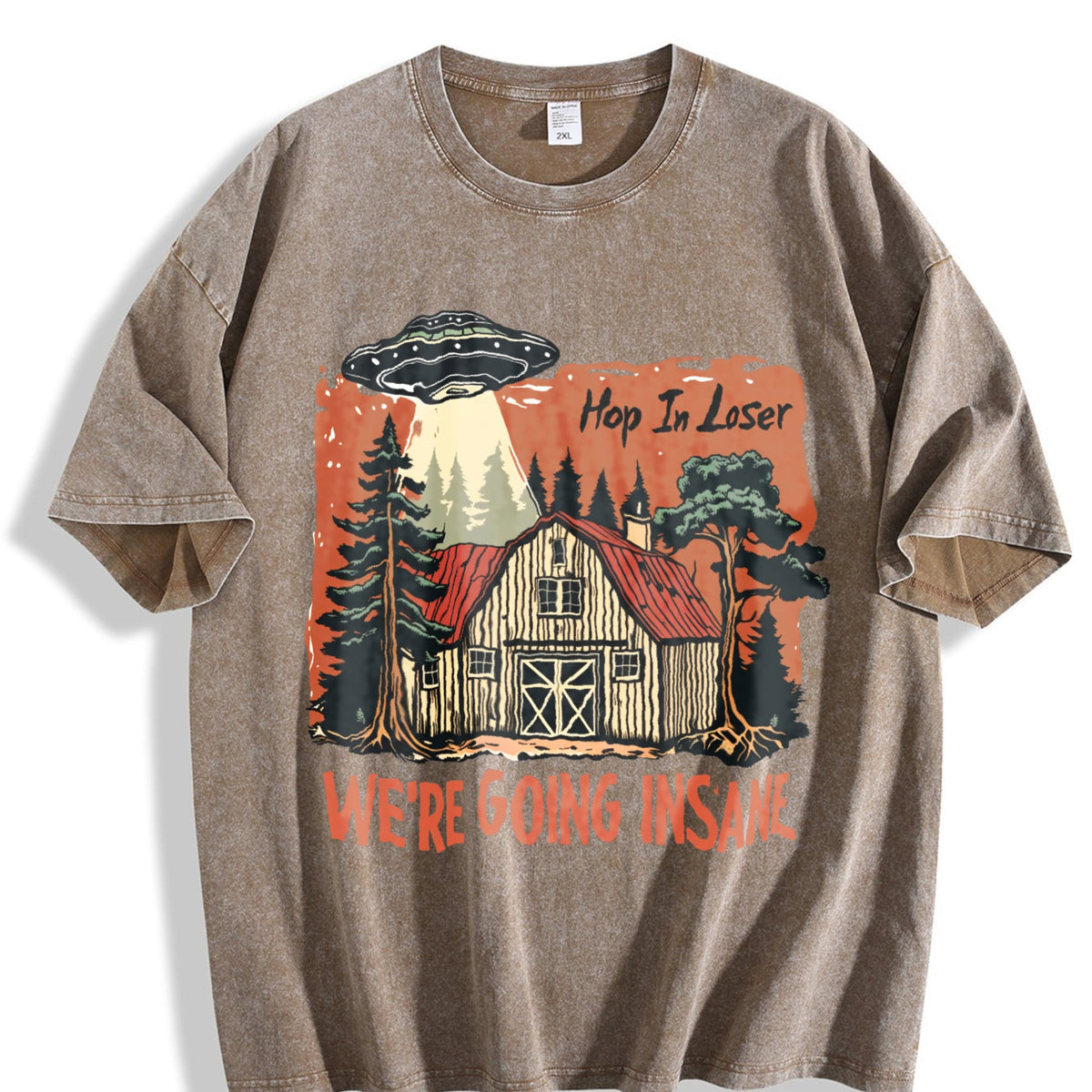UFO Get In Loser We're Going Insane Y2K Vintage Washed product image 3