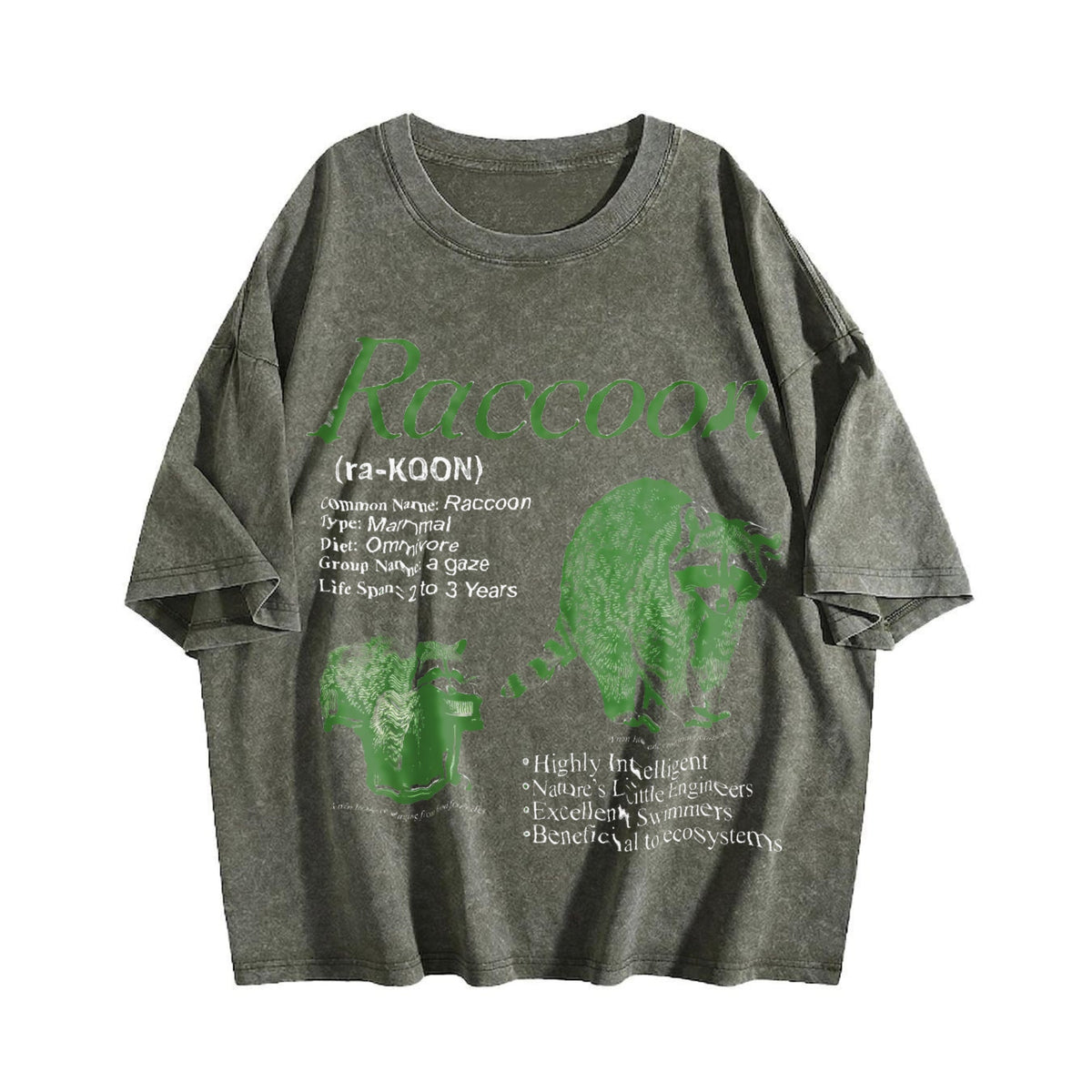 Raccoon Infographic Vintage Washed T-Shirt product image 4