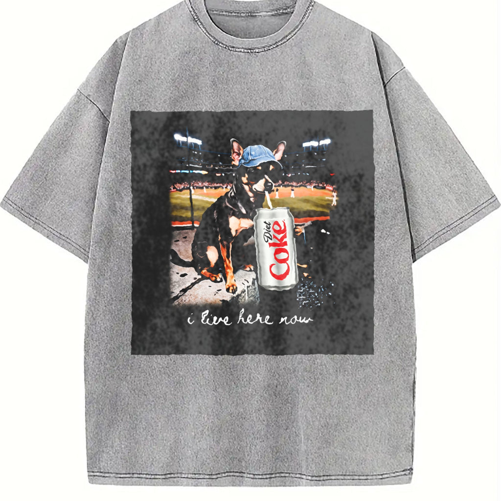 I Live Here Now Stadium Cat Vintage Washed T-Shirt product image 5