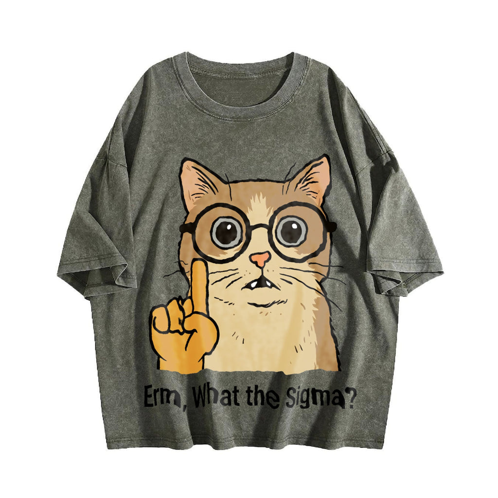 Sigma Cat Meme Vintage Washed T-Shirt product image 4