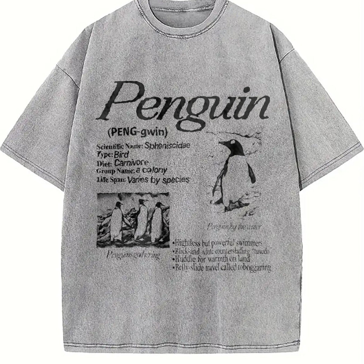 Penguin 90s Vintage Washed T-Shirt product image 5