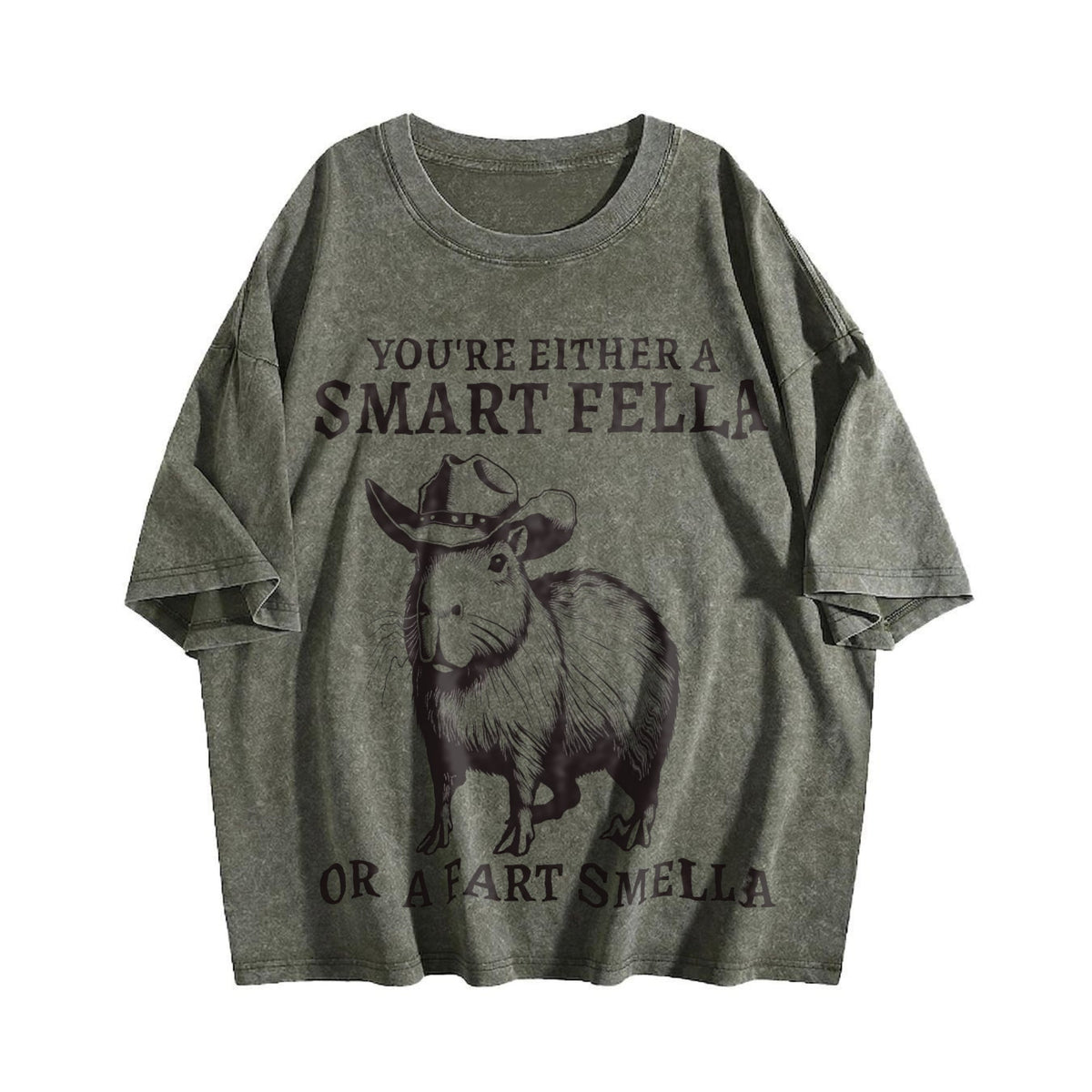 Smart Fella Capybara 90s Vintage Washed T-Shirt product image 4