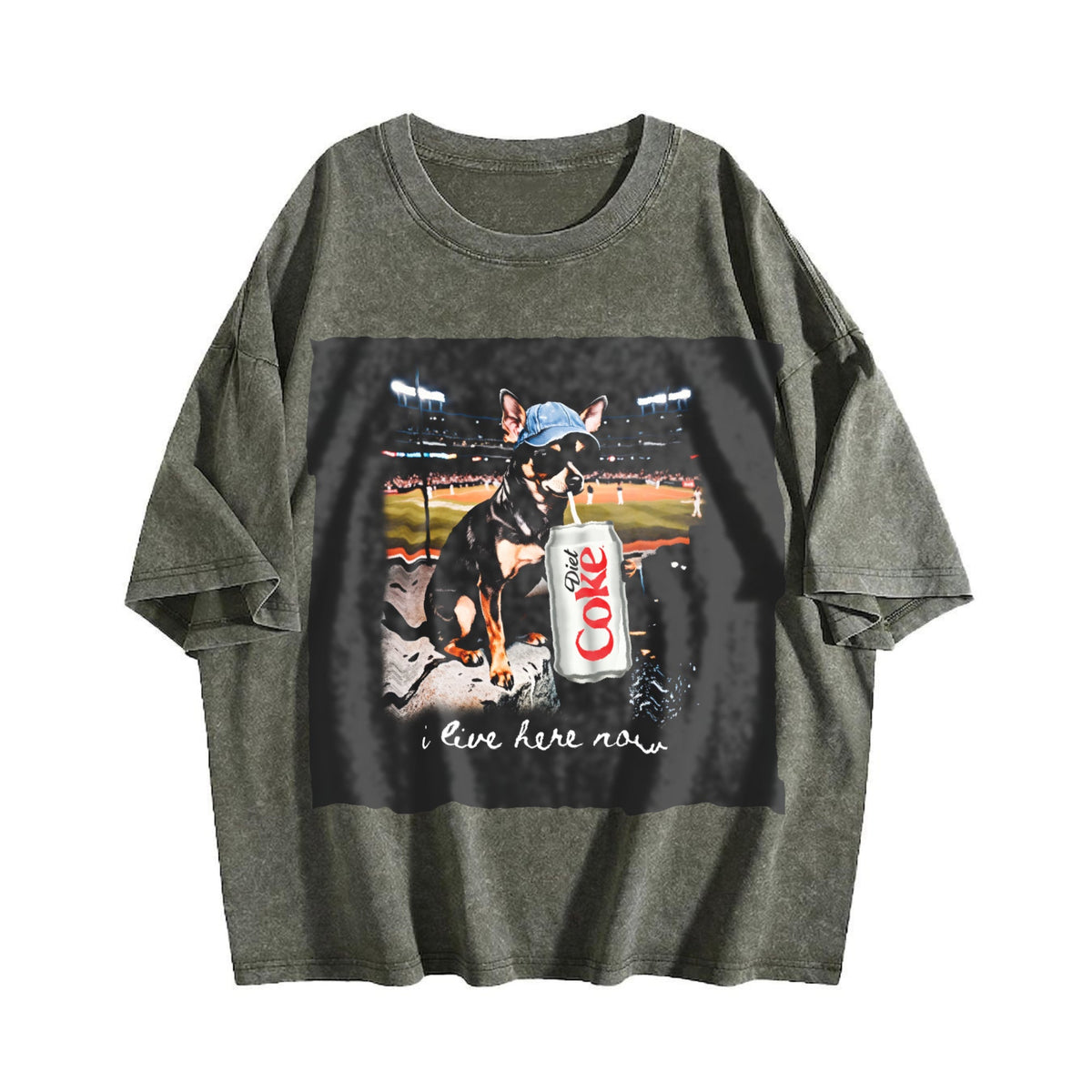 I Live Here Now Stadium Cat Vintage Washed T-Shirt product image 4