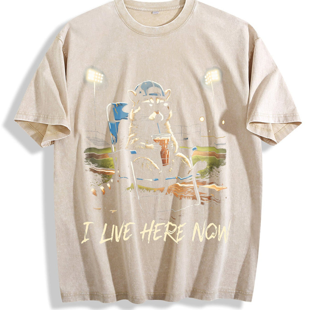 I Live Here Now Ballpark Vintage Washed T-Shirt product image 1