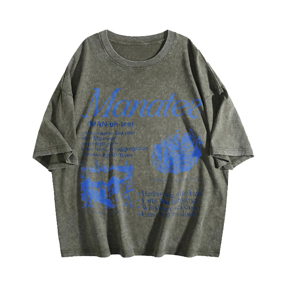 Manatee 90s Vintage Washed T-Shirt product image 4