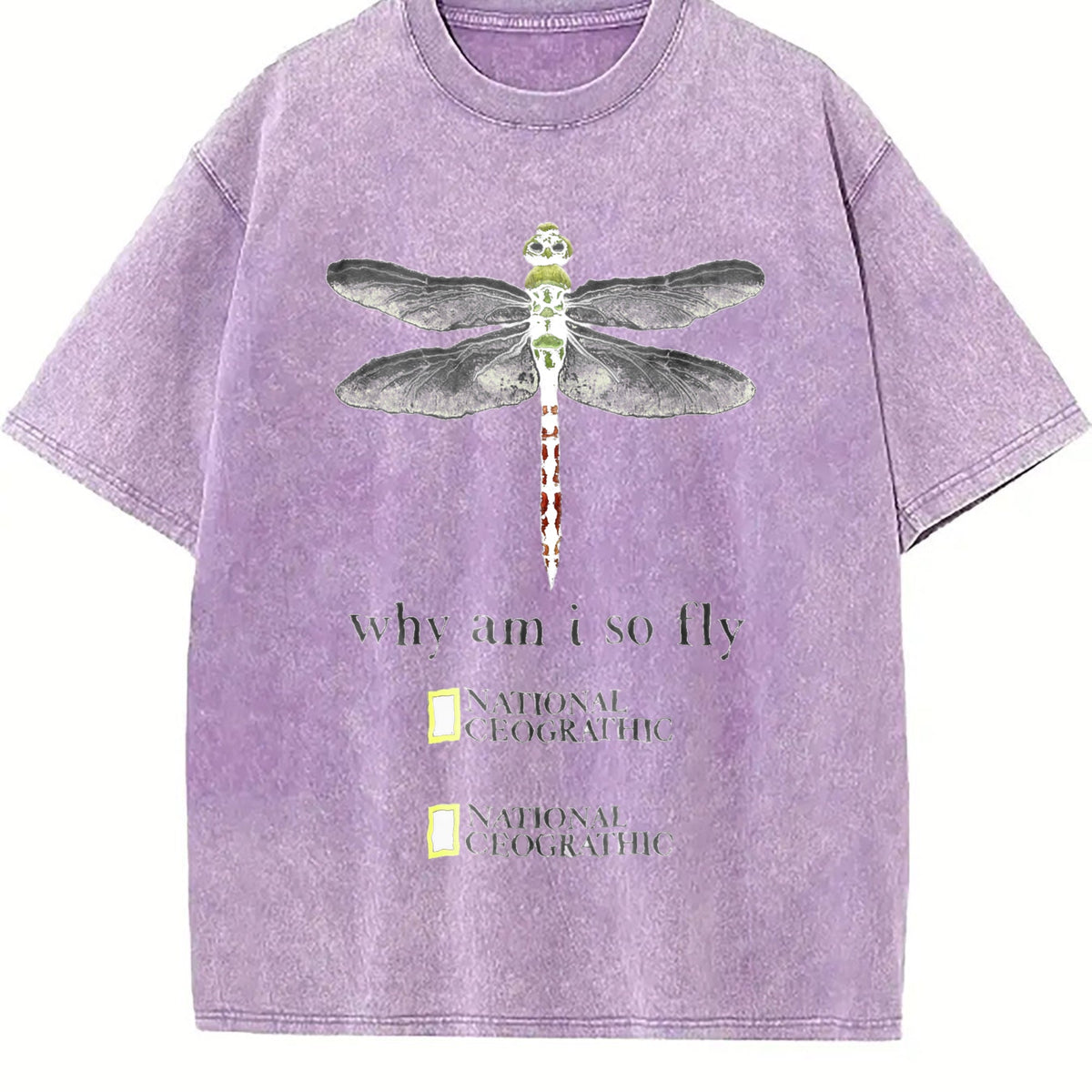 Dragonfly Why Am I So Fly Vintage Washed T-Shirt product image 6