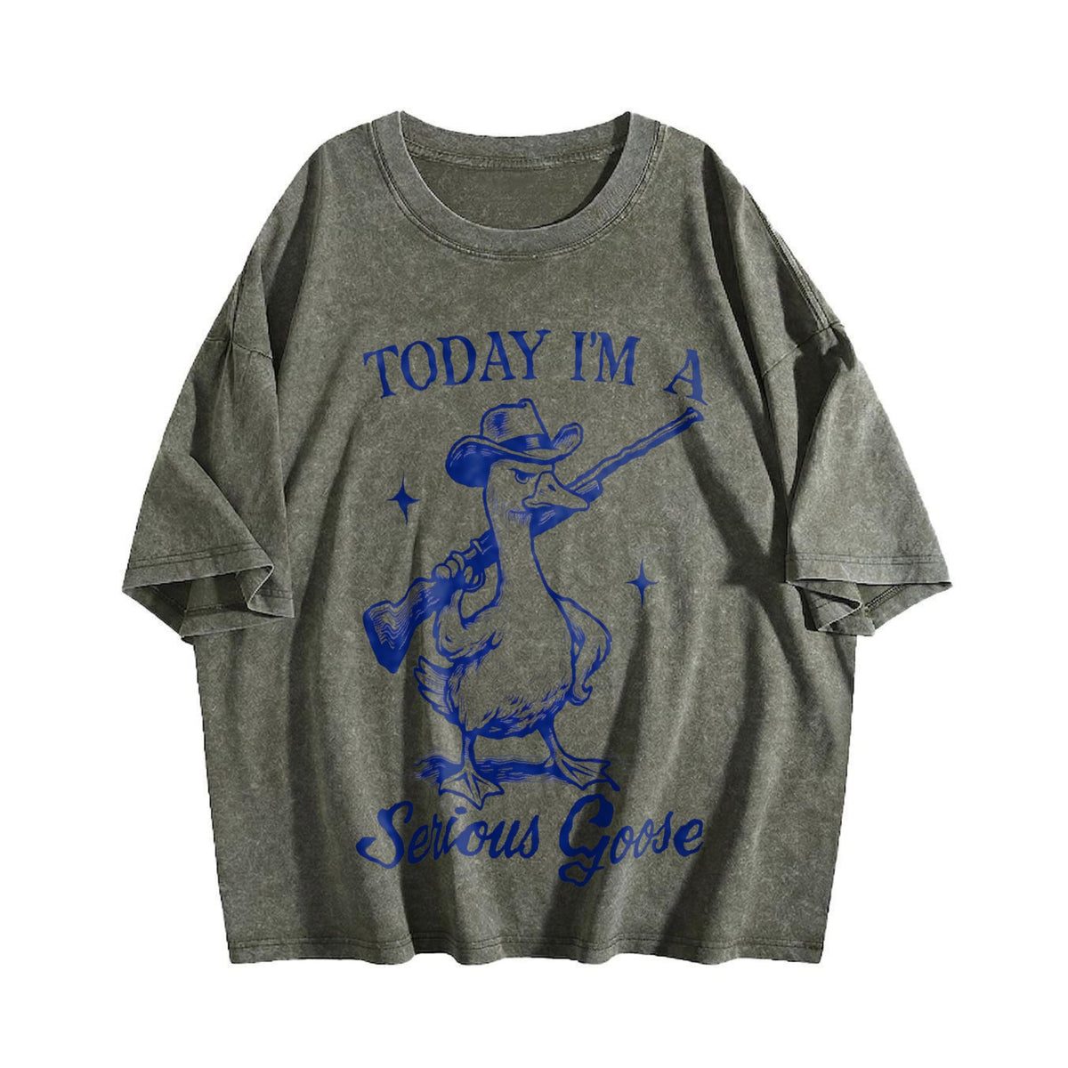 Funny Goose Today I'm A Serious Vintage Washed T-Shirt product image 4