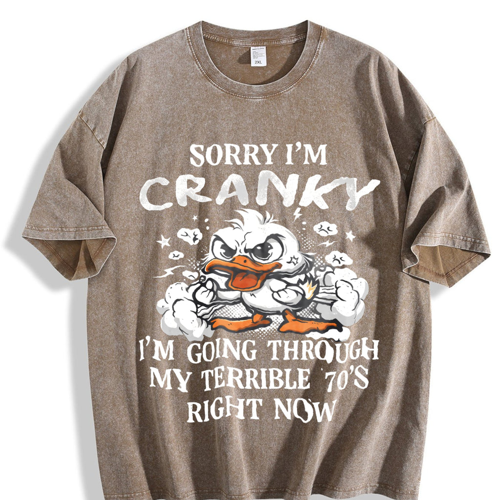 The Cranky Coastal Granddaughter: Sun-faded With Sorry product image 3