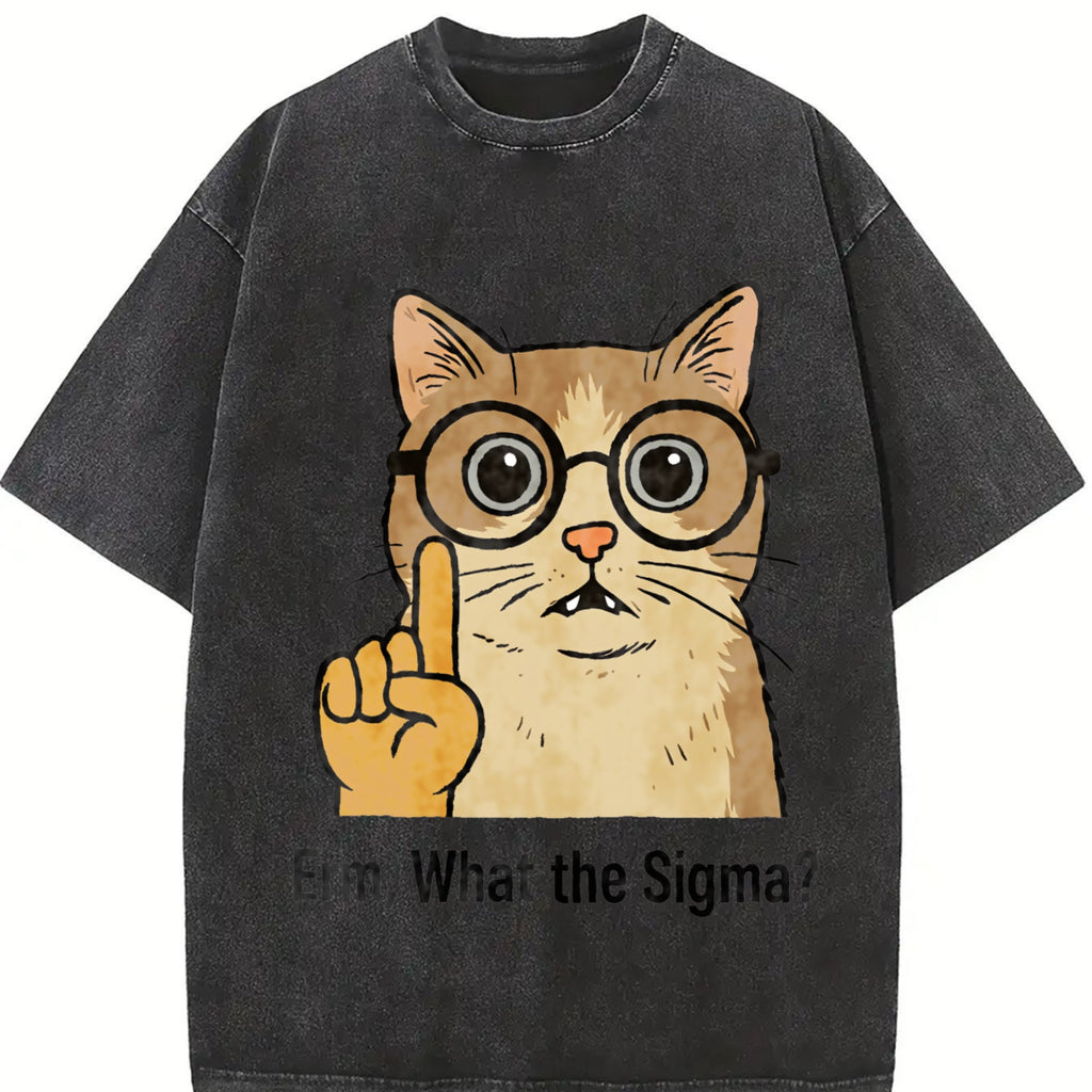 Sigma Cat Meme Vintage Washed T-Shirt product image 2
