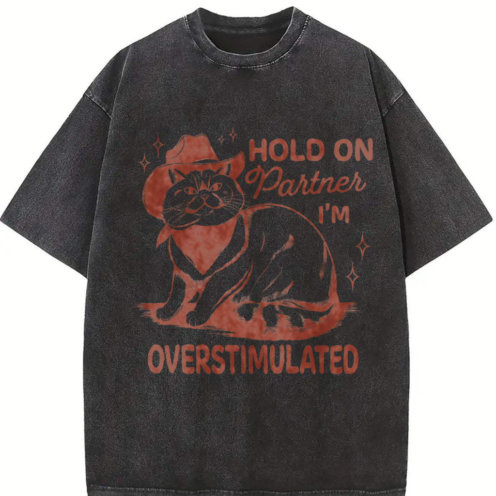Sarcastic Cat 90s Vintage Washed T-Shirt product image 2