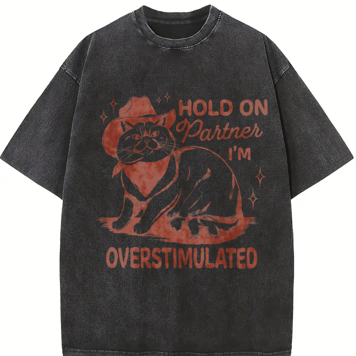 Sarcastic Cat 90s Vintage Washed T-Shirt product image 2