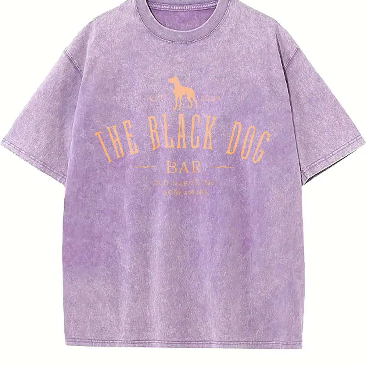 Dog And Letter Vintage Washed T-Shirt product image 6