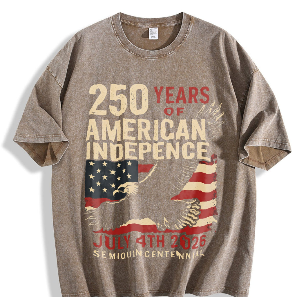 250 Years American Indepence United States Vintage Washed product image 3