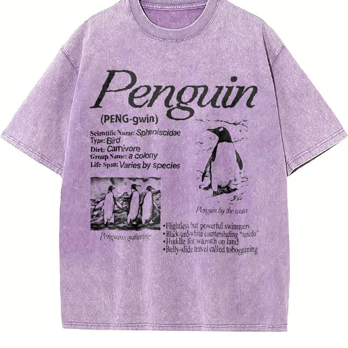 Penguin 90s Vintage Washed T-Shirt product image 6