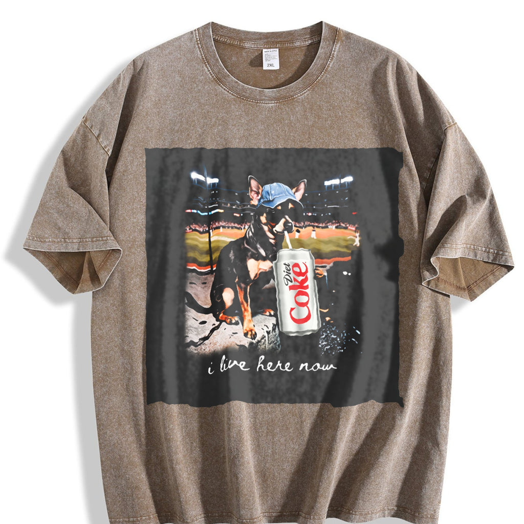 I Live Here Now Stadium Cat Vintage Washed T-Shirt product image 3