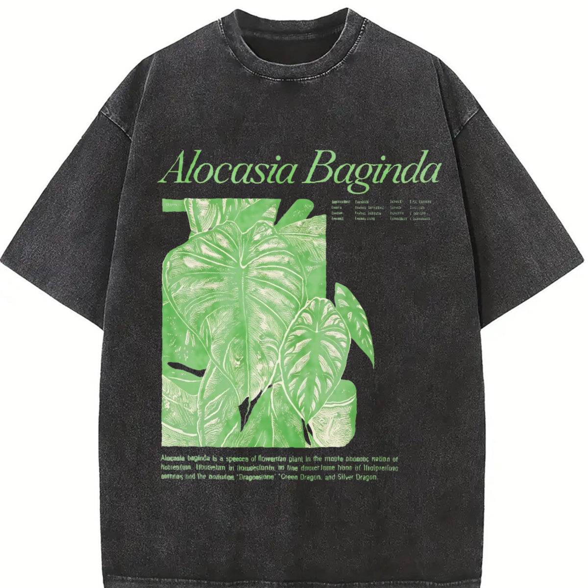 Alocasia Baginda Dragon Scale Vintage Washed T-Shirt product image 2