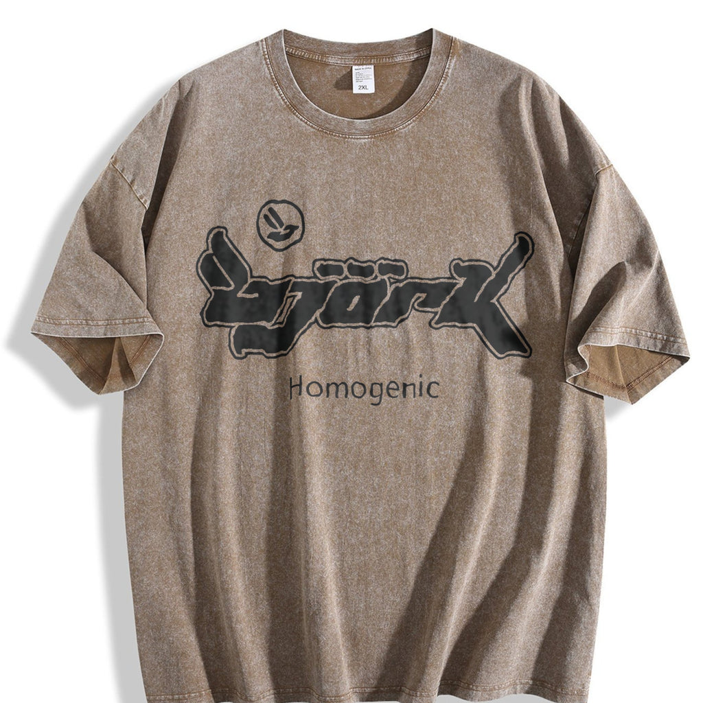Bjork Homogenic Vintage Washed T-Shirt product image 3
