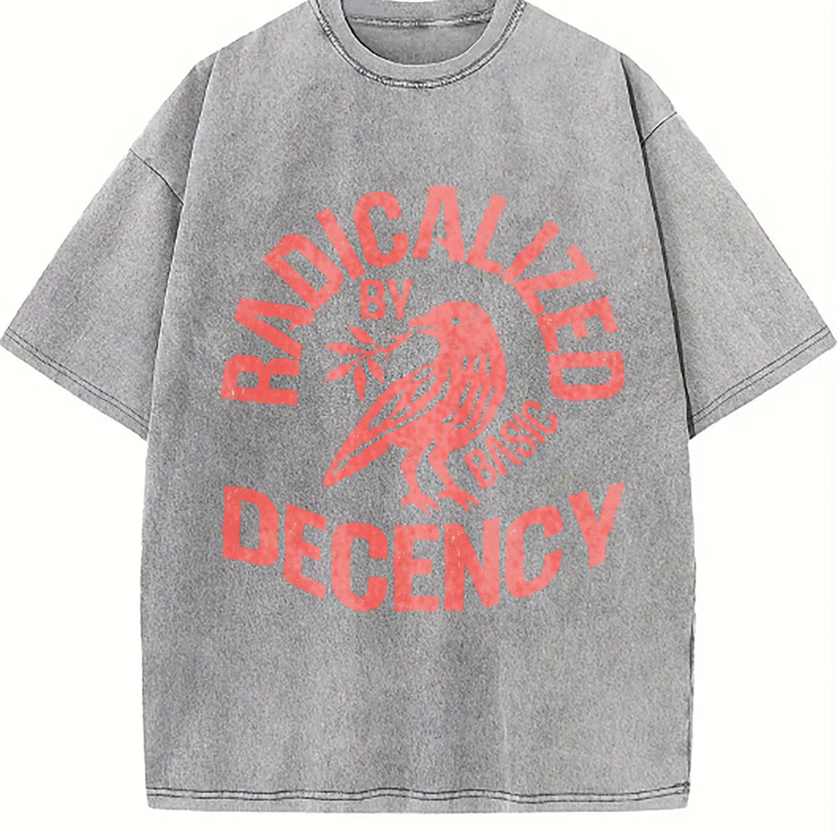 Radicalized By Basic Decency Vintage Washed T-Shirt product image 5