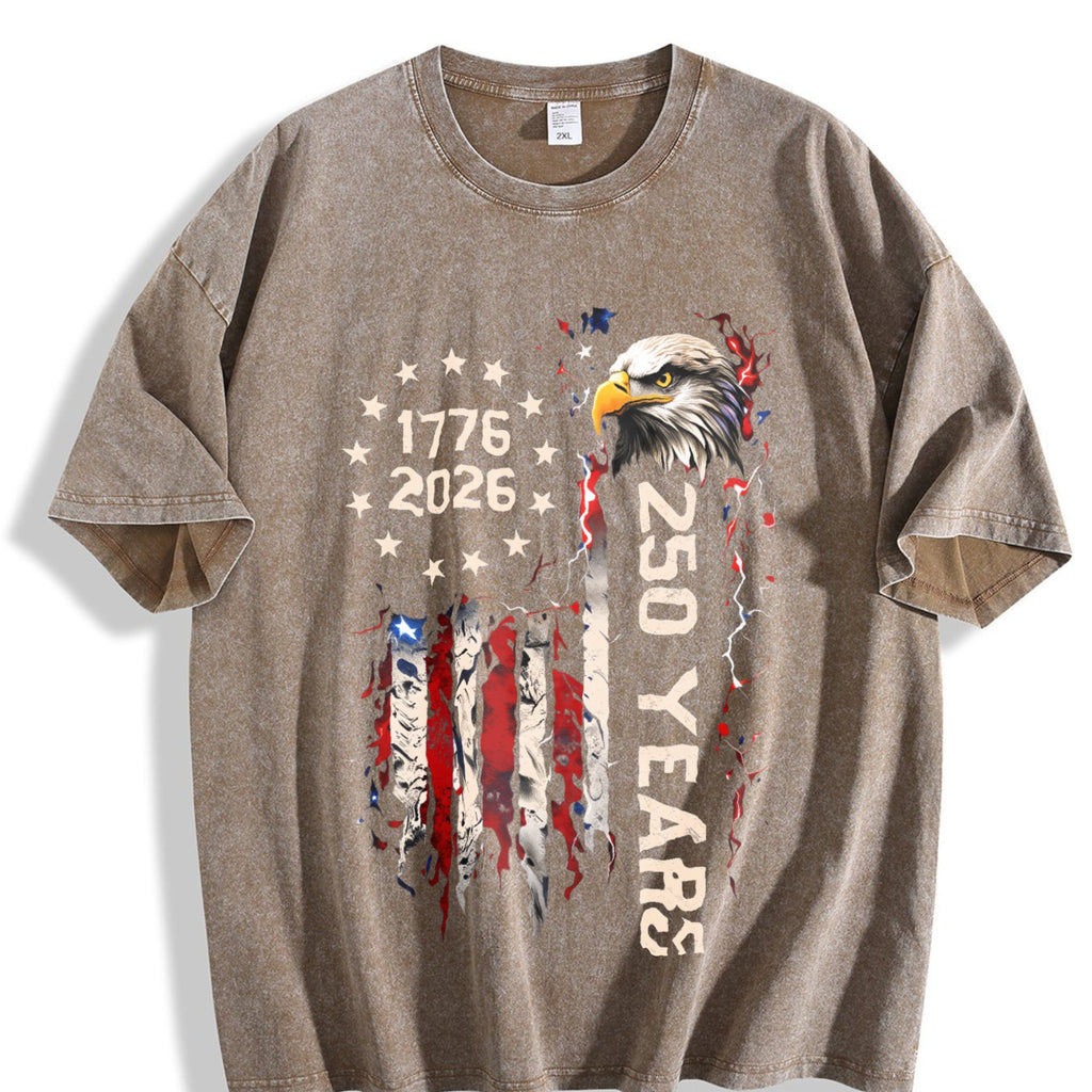 USA 250 Vintage Washed T-Shirt product image 3