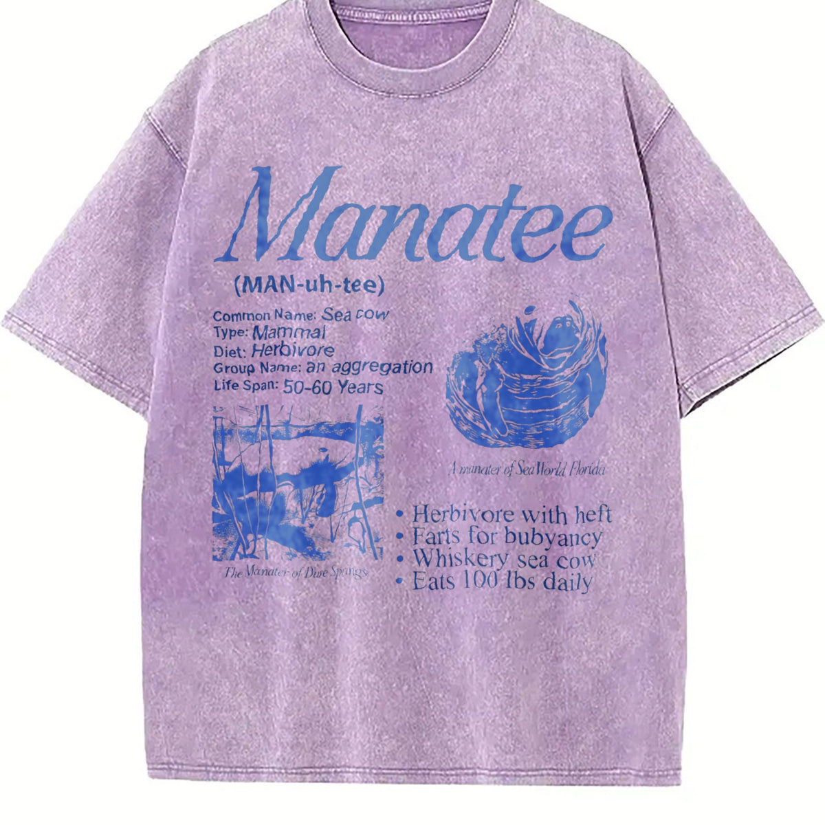Manatee 90s Vintage Washed T-Shirt product image 6