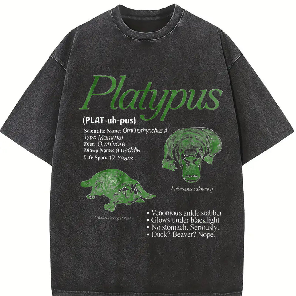 Platypus 90s Vintage Washed T-Shirt product image 2