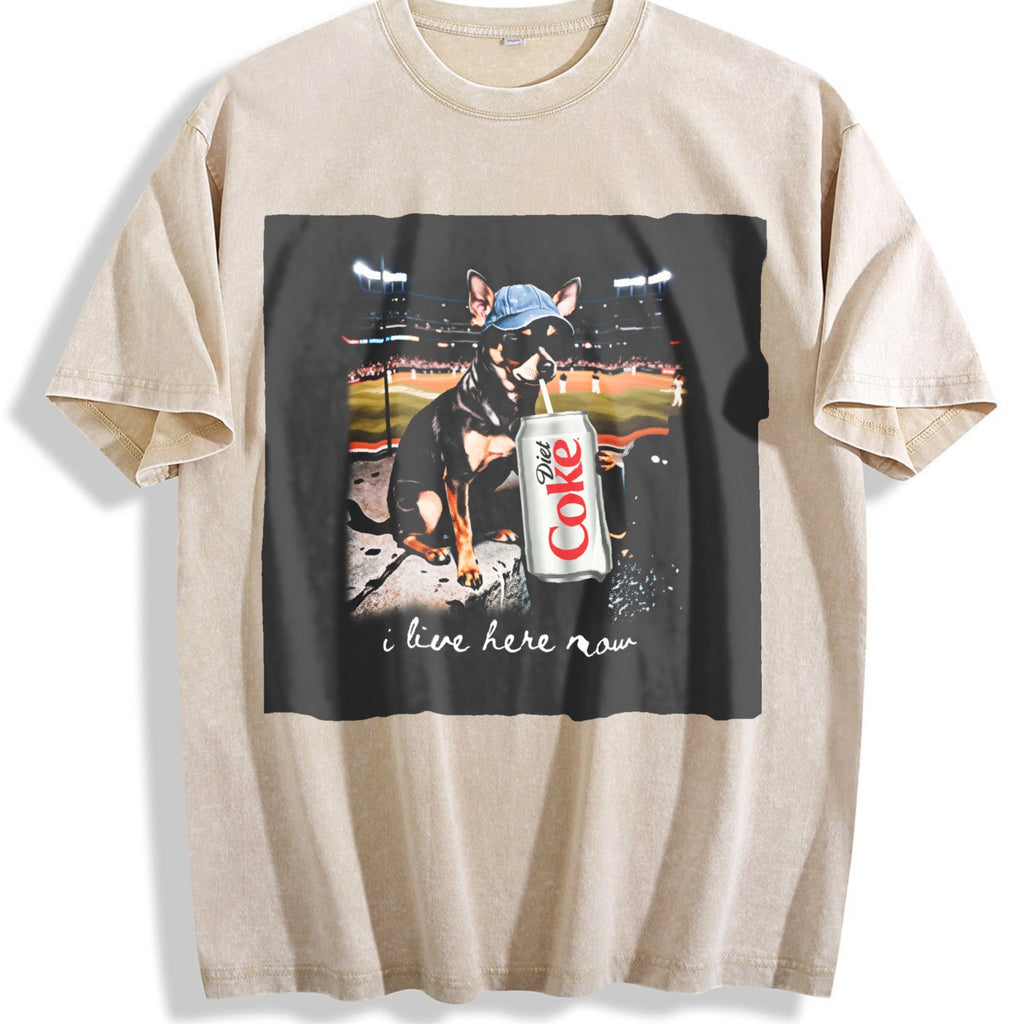 I Live Here Now Stadium Cat Vintage Washed T-Shirt product image 1