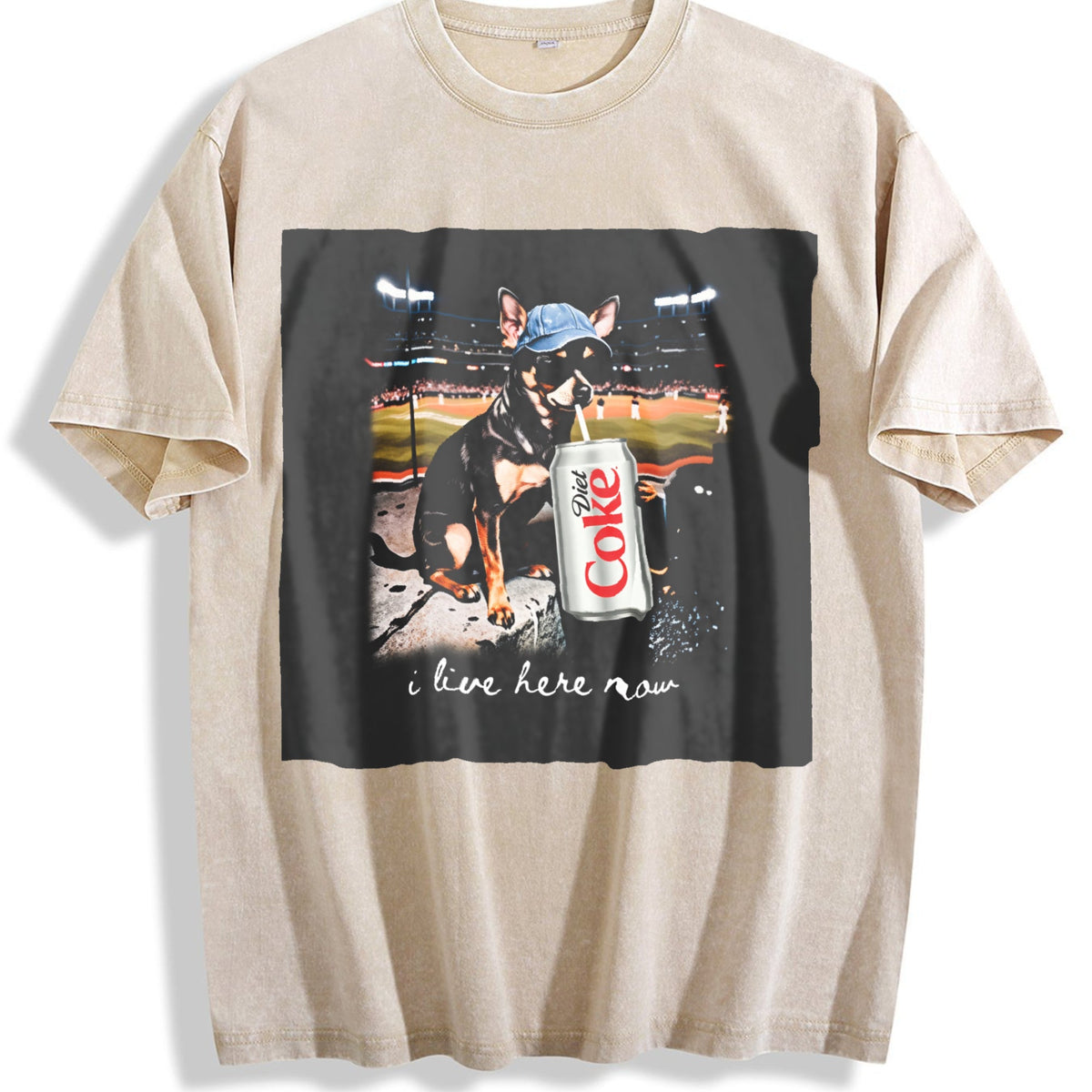 I Live Here Now Stadium Cat Vintage Washed T-Shirt product image 1