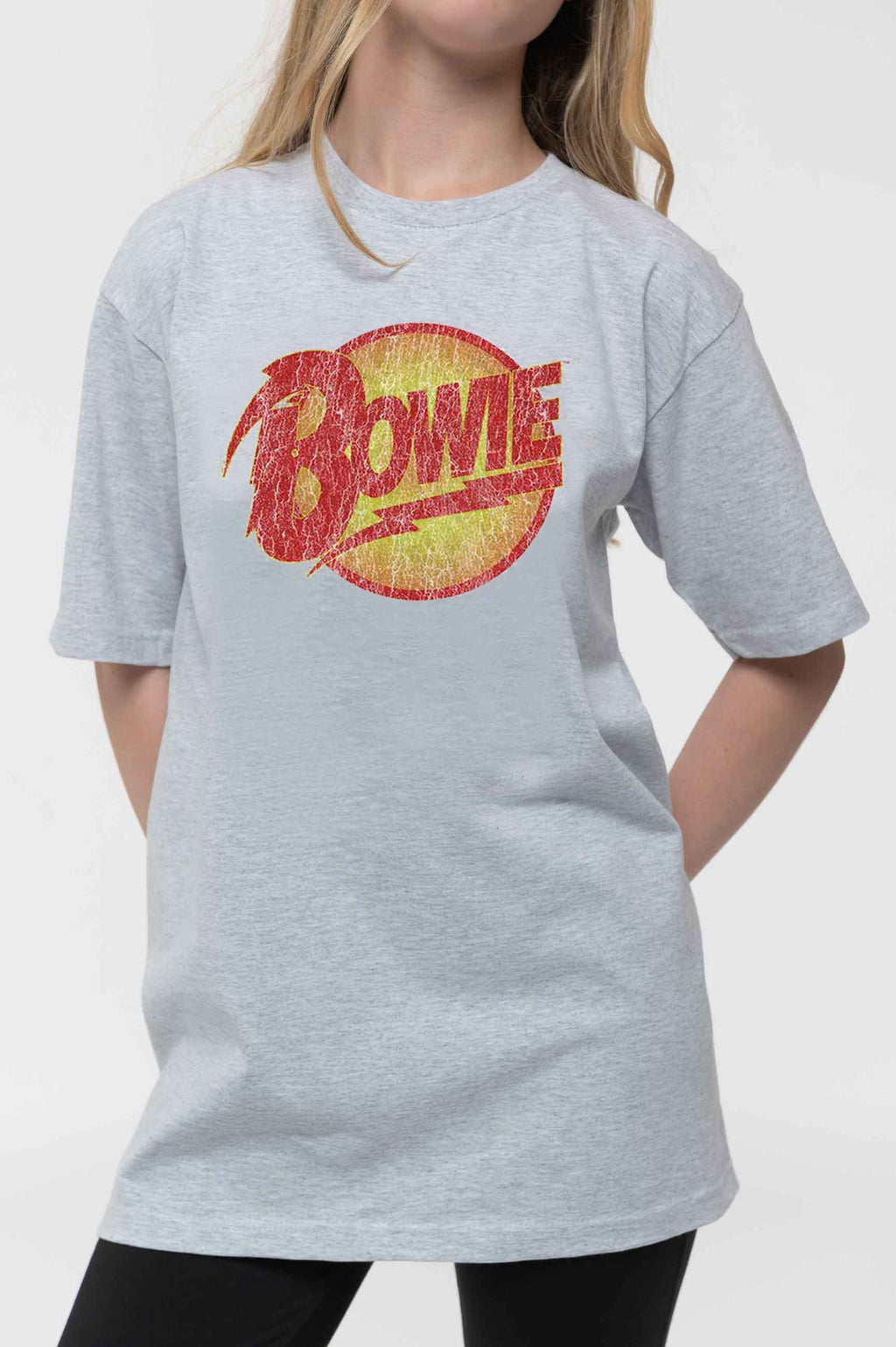 David Bowie Kids Vintage Diamond Dogs Grey T Shirt product image 3