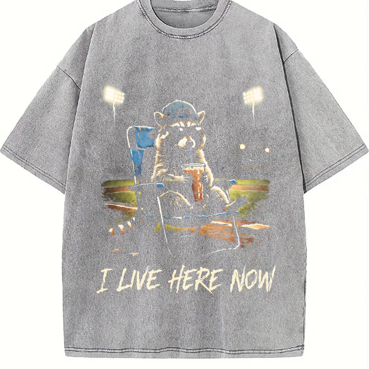 I Live Here Now Ballpark Vintage Washed T-Shirt product image 5