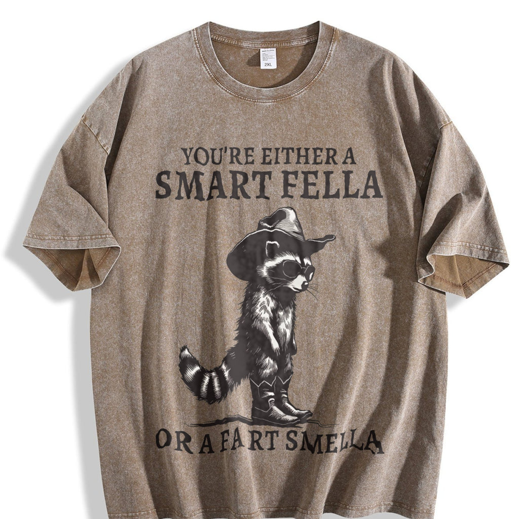 Smart Fella Raccoon 90s Vintage Washed T-Shirt product image 3