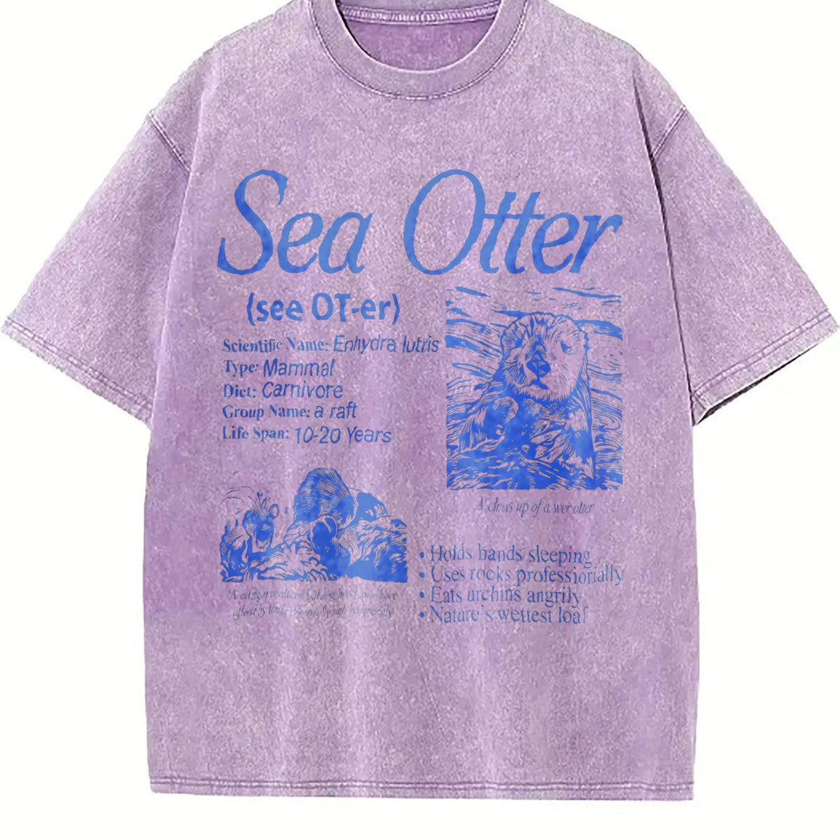 Sea Otter 90s Vintage Washed T-Shirt product image 6