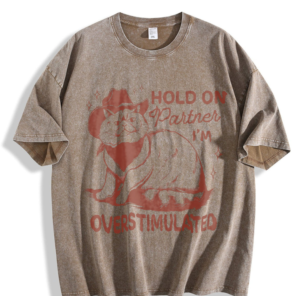 Sarcastic Cat 90s Vintage Washed T-Shirt product image 3
