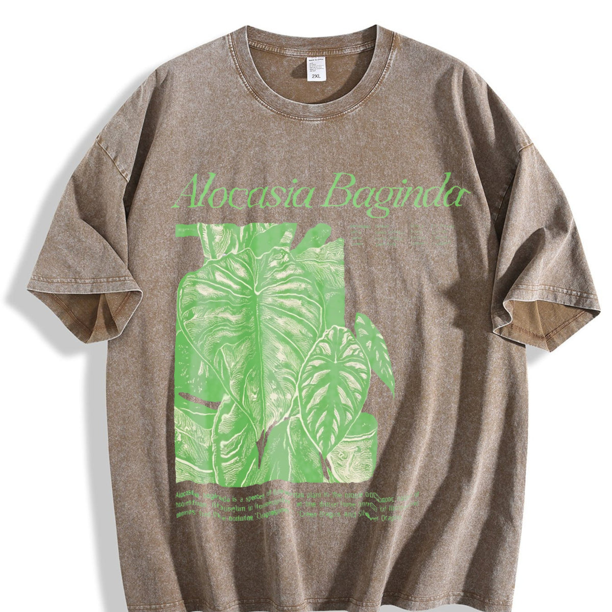 Alocasia Baginda Dragon Scale Vintage Washed T-Shirt product image 3