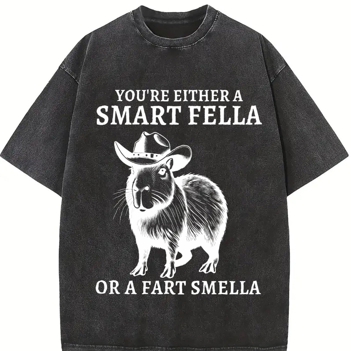 Smart Fella Capybara 90s Vintage Washed T-Shirt product image 2
