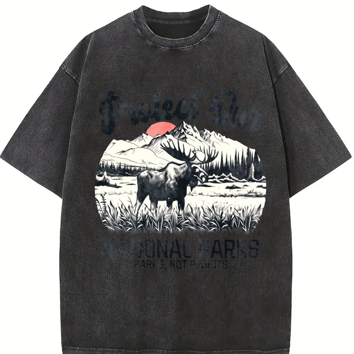 Protect Our National Parks Vintage Washed T-Shirt product image 2