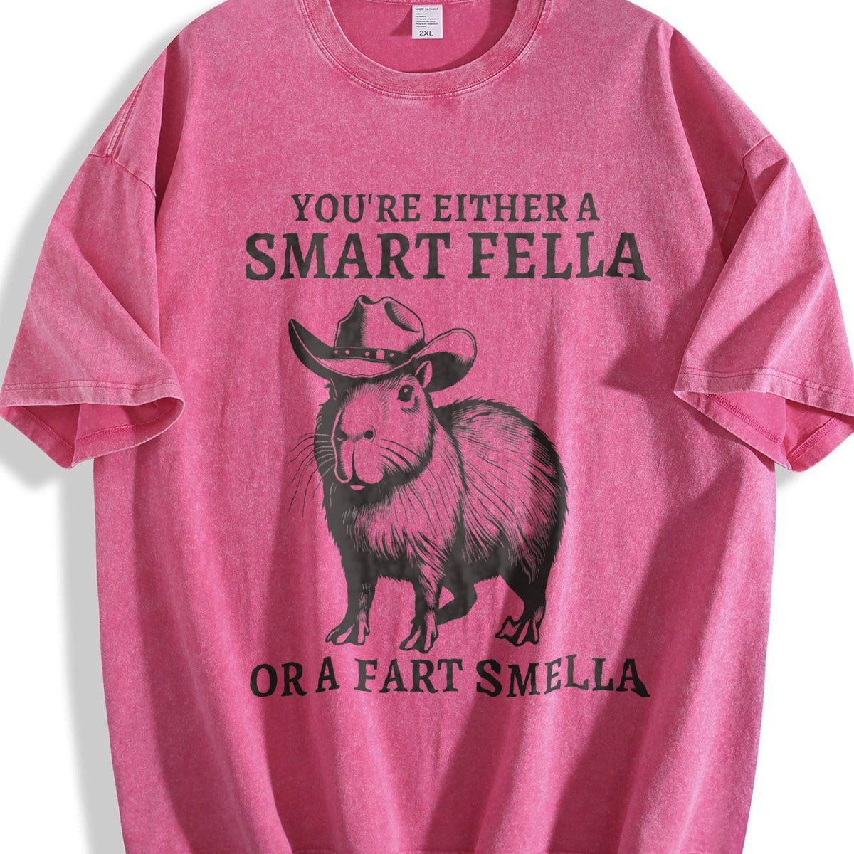 Smart Fella Capybara 90s Vintage Washed T-Shirt product image 7