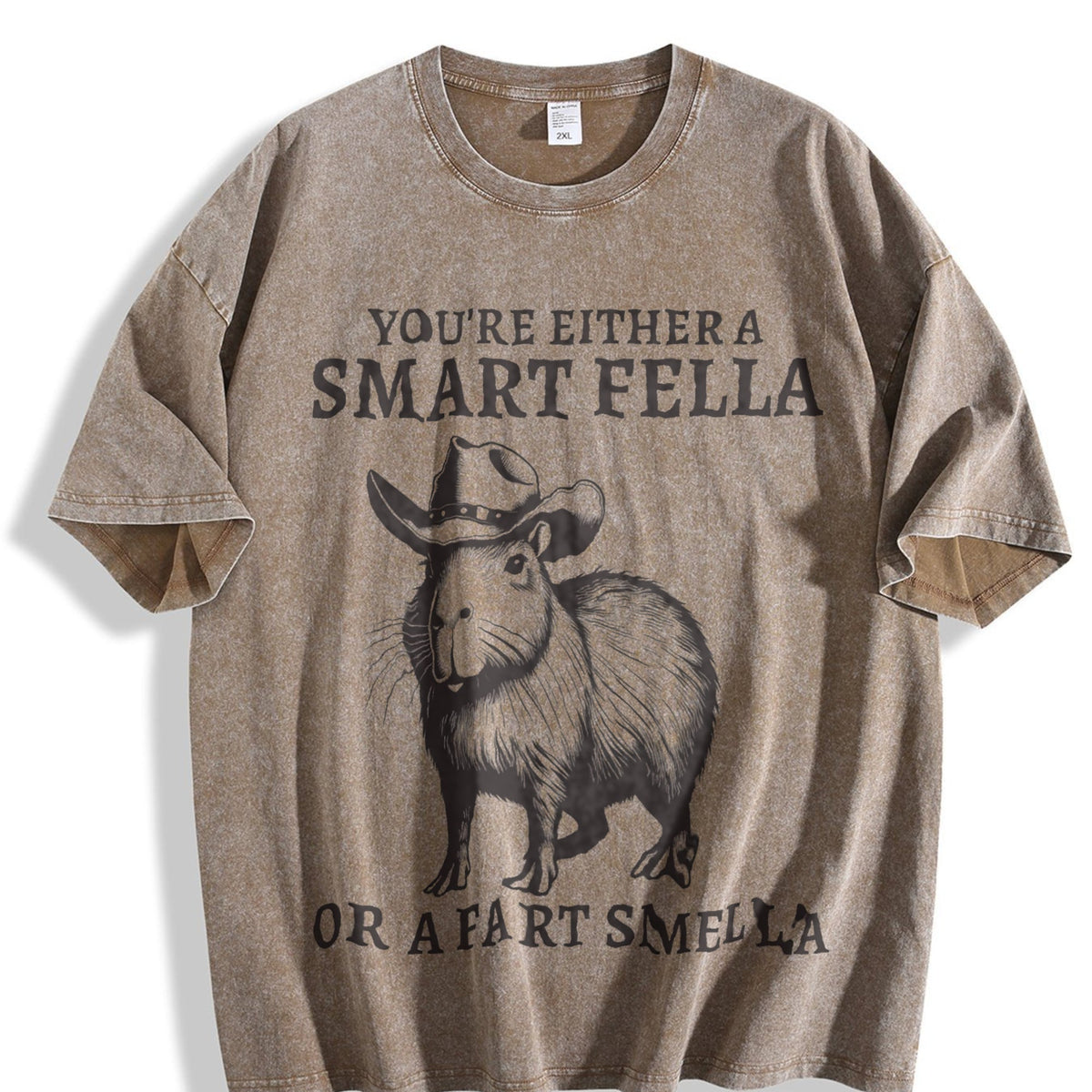 Smart Fella Capybara 90s Vintage Washed T-Shirt product image 3