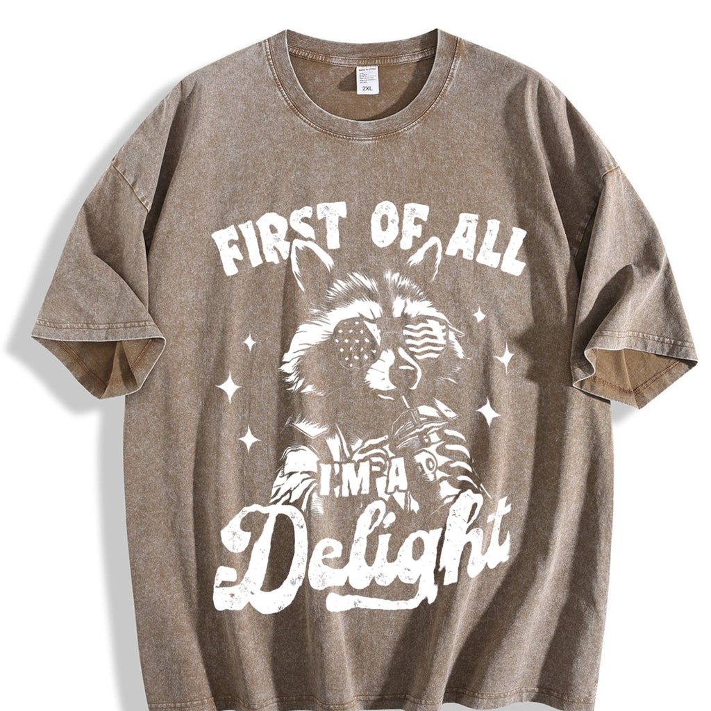 First Of All I'm A Delight Raccoon 4th Of July 90s Vintage product image 3
