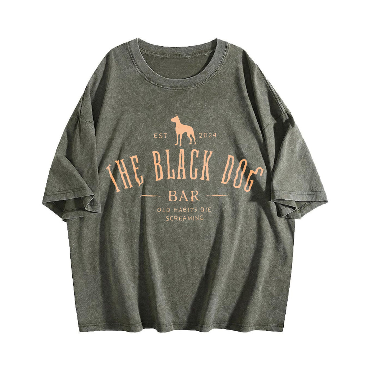 Dog And Letter Vintage Washed T-Shirt product image 4